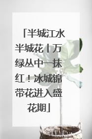 半城江水半城花丨万绿丛中一抹红！冰城锦带花进入盛花期
