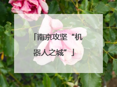 南京攻坚“机器人之城”