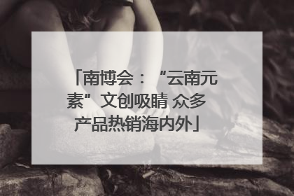 南博会：“云南元素”文创吸睛 众多产品热销海内外