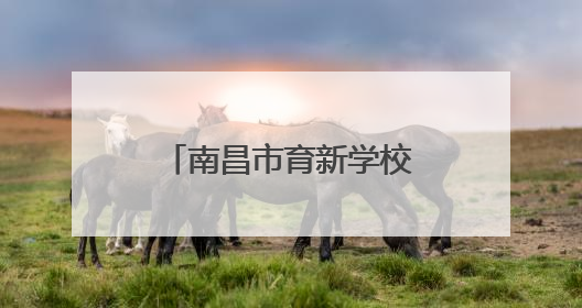 南昌市育新学校临江校区开展端午节系列教育活动