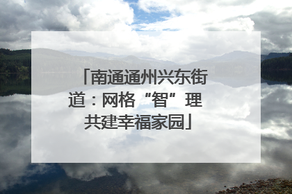 南通通州兴东街道：网格“智”理 共建幸福家园