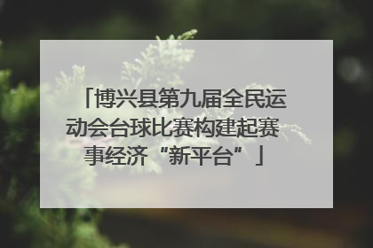 博兴县第九届全民运动会台球比赛构建起赛事经济“新平台”