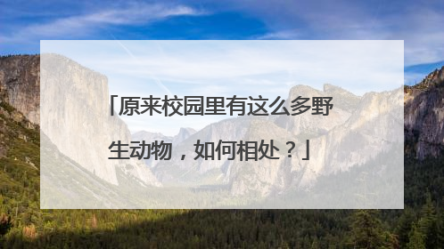 原来校园里有这么多野生动物，如何相处？