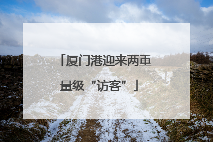 厦门港迎来两重量级“访客”