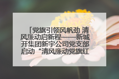党旗引领风帆劲 清风廉动启新程——新城开集团新宇公司党支部启动“清风廉动党旗红”系列活动