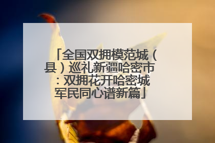 全国双拥模范城（县）巡礼新疆哈密市：双拥花开哈密城 军民同心谱新篇