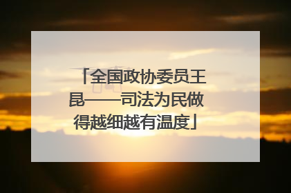 全国政协委员王昆——司法为民做得越细越有温度