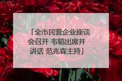 全市民营企业座谈会召开 韦韬出席并讲话 范兆森主持