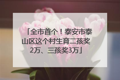 全市首个！泰安市泰山区这个村生育二孩奖2万、三孩奖3万