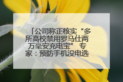 公司称正核实“多所高校禁用罗马仕两万毫安充电宝” 专家：预防手机没电选中等体积产品即可