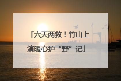 六天两救！竹山上演暖心护“野”记