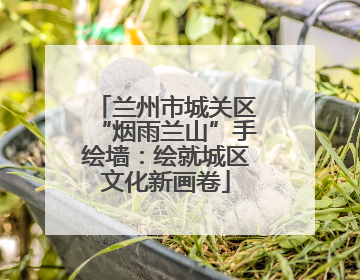 兰州市城关区“烟雨兰山”手绘墙：绘就城区文化新画卷