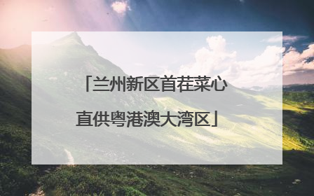 兰州新区首茬菜心直供粤港澳大湾区