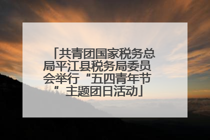共青团国家税务总局平江县税务局委员会举行“五四青年节”主题团日活动