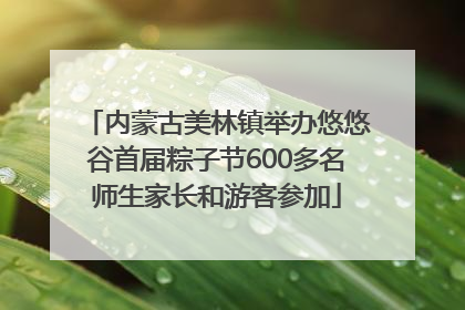 内蒙古美林镇举办悠悠谷首届粽子节600多名师生家长和游客参加