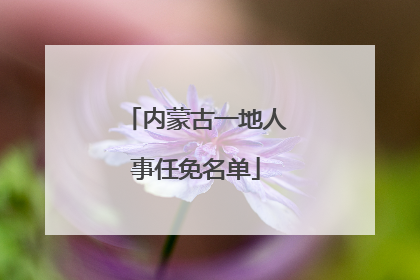 内蒙古一地人事任免名单