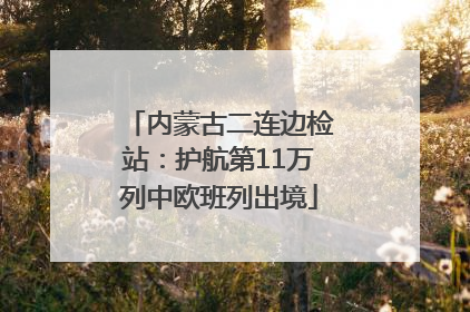 内蒙古二连边检站：护航第11万列中欧班列出境