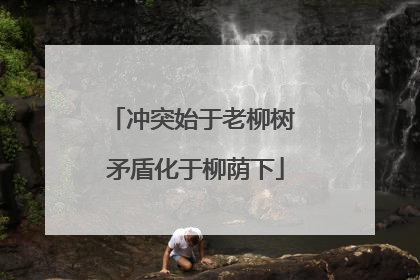 冲突始于老柳树 矛盾化于柳荫下
