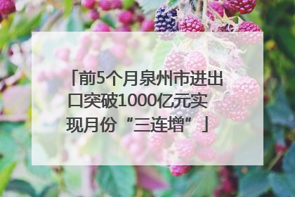 前5个月泉州市进出口突破1000亿元实现月份“三连增”
