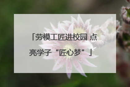 劳模工匠进校园 点亮学子“匠心梦”