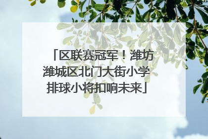 区联赛冠军！潍坊潍城区北门大街小学排球小将扣响未来