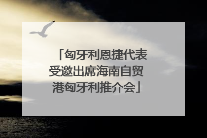 匈牙利恩捷代表受邀出席海南自贸港匈牙利推介会