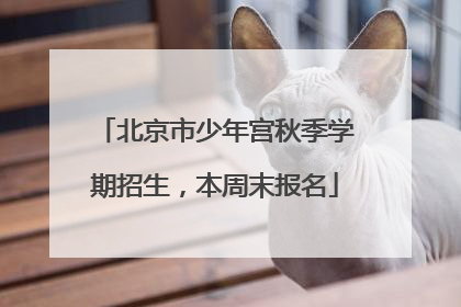北京市少年宫秋季学期招生，本周末报名