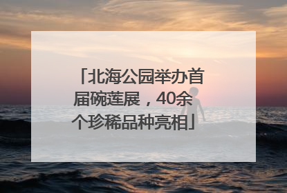 北海公园举办首届碗莲展，40余个珍稀品种亮相