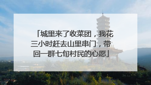城里来了收菜团，我花三小时赶去山里串门，带回一群七旬村民的心愿