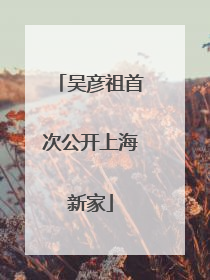 吴彦祖首次公开上海新家