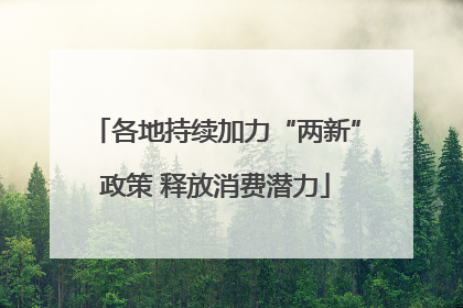 各地持续加力“两新”政策 释放消费潜力