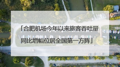 合肥机场今年以来旅客吞吐量同比增幅位居全国第一方阵