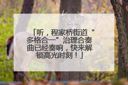 听，程家桥街道“多格合一”治理合奏曲已经奏响，快来解锁高光时刻！