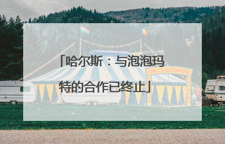 哈尔斯：与泡泡玛特的合作已终止