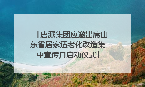 唐派集团应邀出席山东省居家适老化改造集中宣传月启动仪式