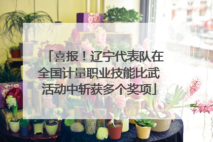 喜报！辽宁代表队在全国计量职业技能比武活动中斩获多个奖项