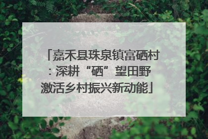 嘉禾县珠泉镇富硒村：深耕“硒”望田野 激活乡村振兴新动能