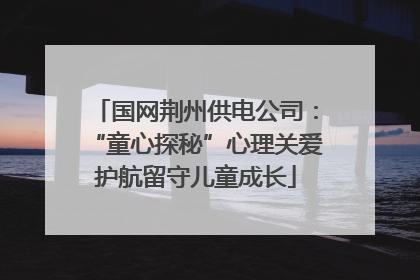 国网荆州供电公司：“童心探秘”心理关爱护航留守儿童成长