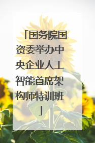国务院国资委举办中央企业人工智能首席架构师特训班