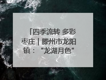 四季流转 多彩枣庄｜滕州市龙阳镇：“龙湖月色”向日葵花海 绘就乡村振兴新画卷