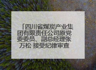 四川省煤炭产业集团有限责任公司原党委委员、副总经理张万松 接受纪律审查和监察调查