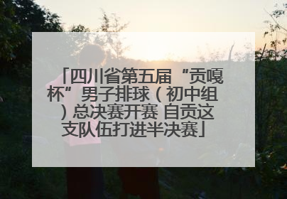 四川省第五届“贡嘎杯”男子排球（初中组）总决赛开赛 自贡这支队伍打进半决赛