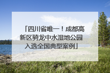 四川省唯一！成都高新区骑龙中水湿地公园入选全国典型案例
