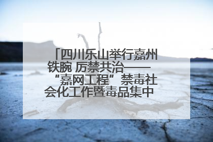 四川乐山举行嘉州铁腕 厉禁共治——“嘉网工程”禁毒社会化工作暨毒品集中销毁启动仪式