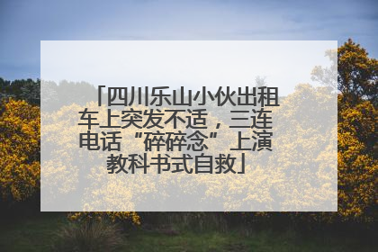四川乐山小伙出租车上突发不适，三连电话“碎碎念”上演教科书式自救