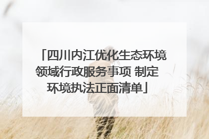 四川内江优化生态环境领域行政服务事项 制定环境执法正面清单