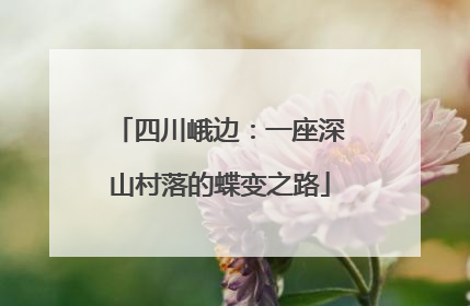 四川峨边：一座深山村落的蝶变之路