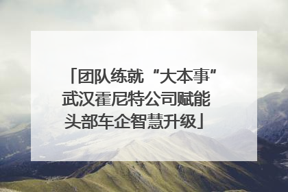 团队练就“大本事” 武汉霍尼特公司赋能头部车企智慧升级
