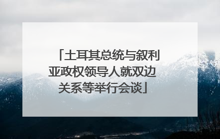 土耳其总统与叙利亚政权领导人就双边关系等举行会谈