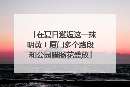 在夏日邂逅这一抹明黄！厦门多个路段和公园腊肠花盛放